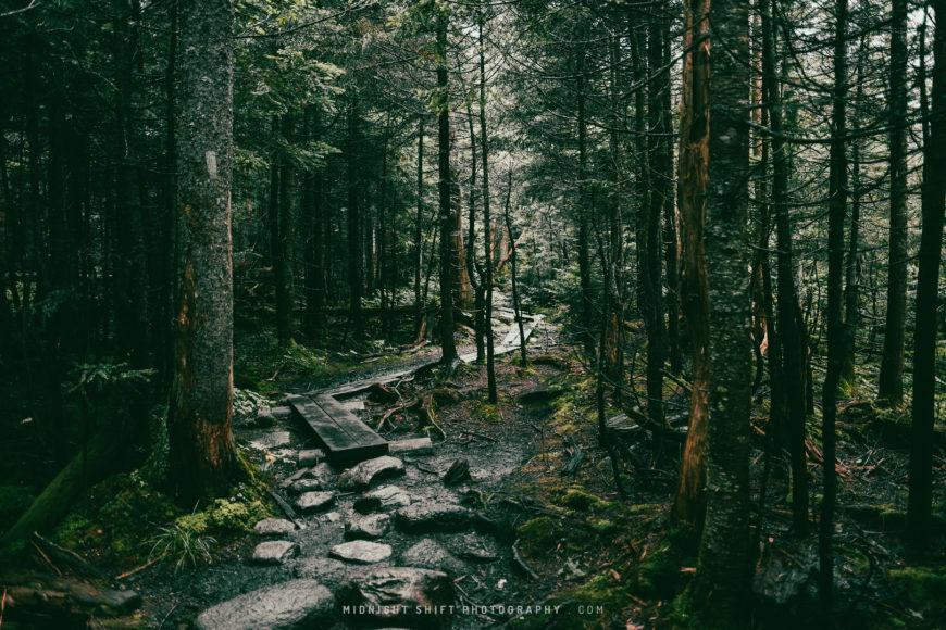 A moody hike on the trails to Lonsesome Lake in New Hampshire