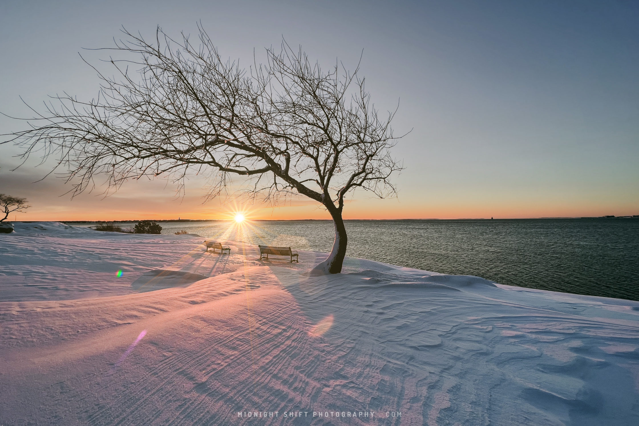 The sun rises in the distance behind the famous wind swept tree at Fort Phoenix in Fairhaven, Massachusetts